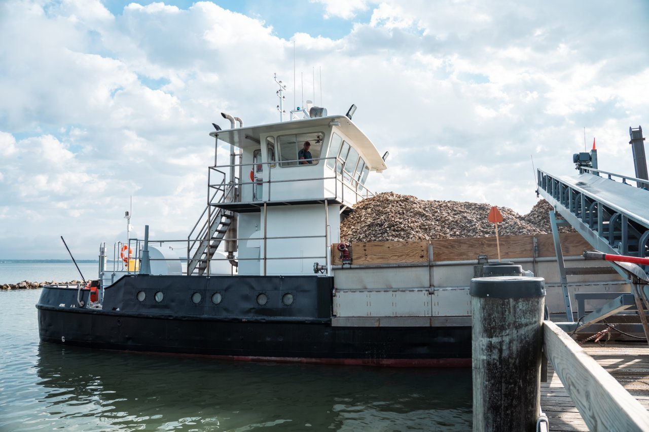 A large boat called that used to be an icebreaker who calls J. Millard Tawes named J. Millard Tawes is now transporting oysters.