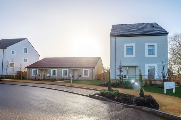 Elm Grove in Nailsea is described as A "Land brand housing estate"