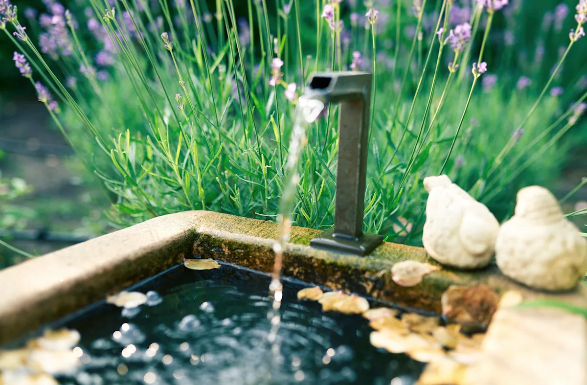 Homeowners capture a nice video from tiny visitor who enjoys garden fountain: "This is incredibly delightful"