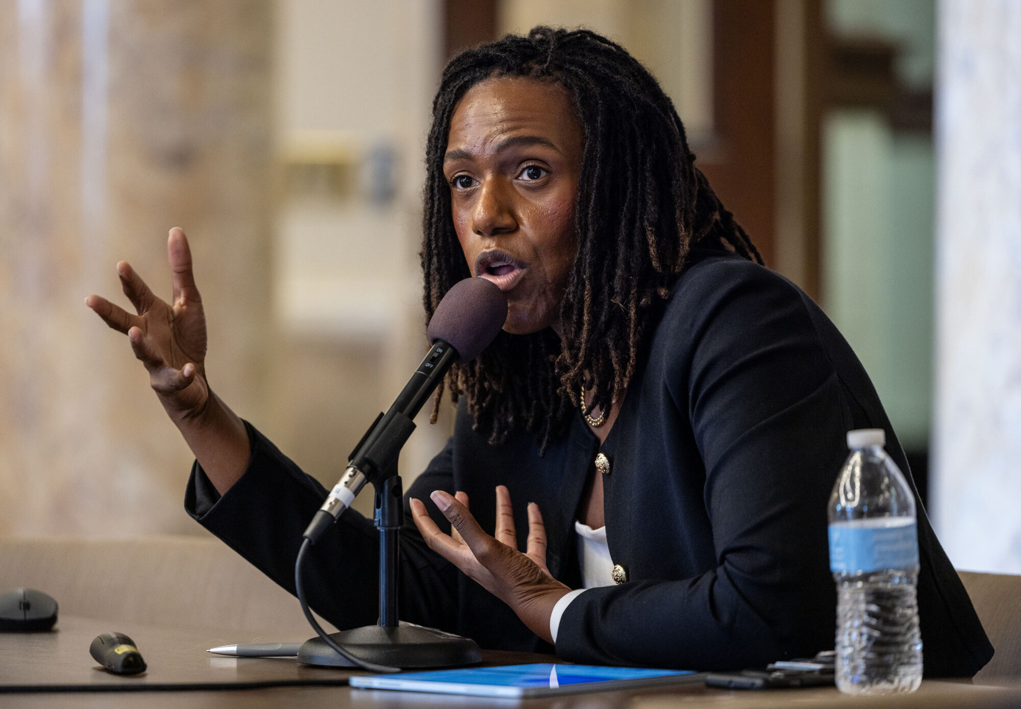 Panel of Mississippi legislator deals