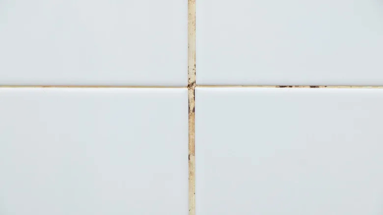 Discolored grout between white tiles