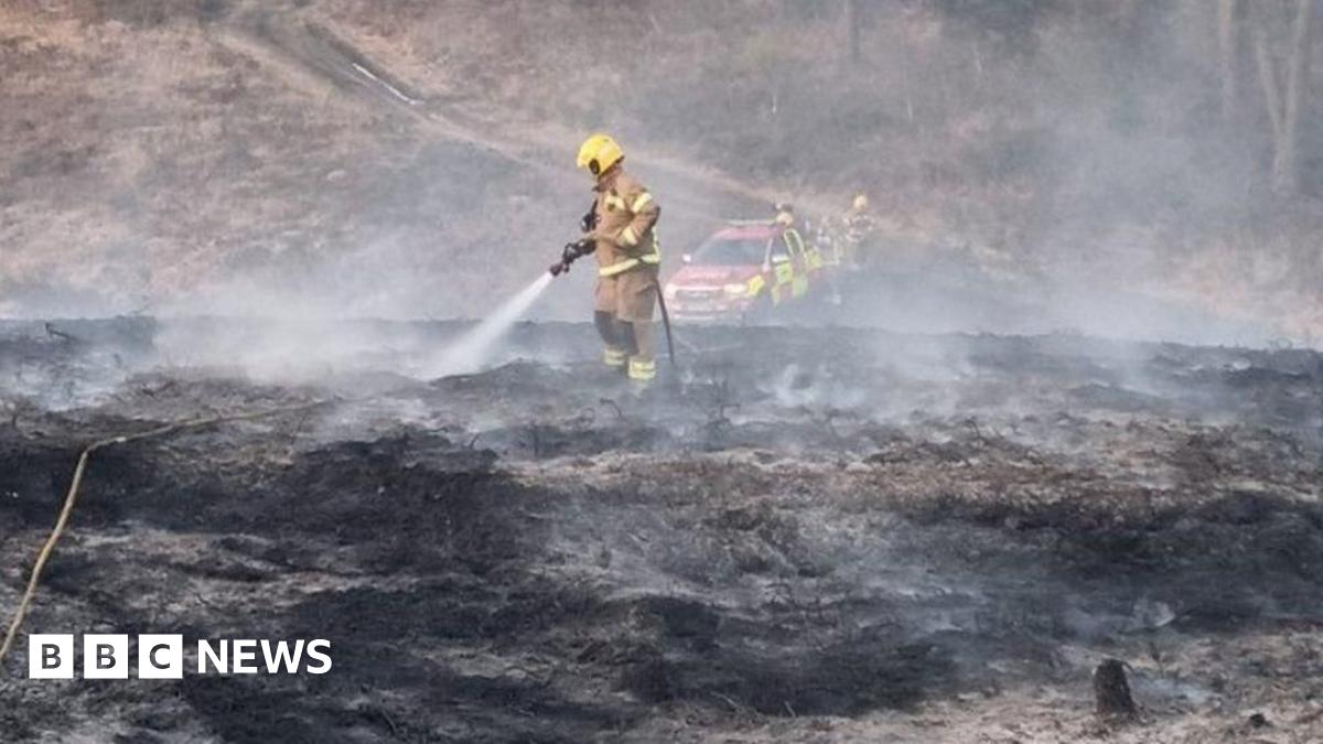 The restoration of Dorset Heathland aims to reduce the risk of forest fire