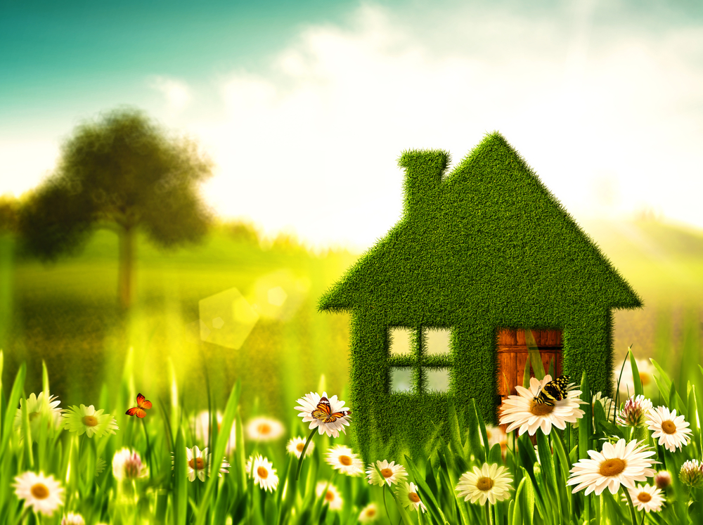 Simplybiz adds ecology to the panel - Mortgage Finance Gazette