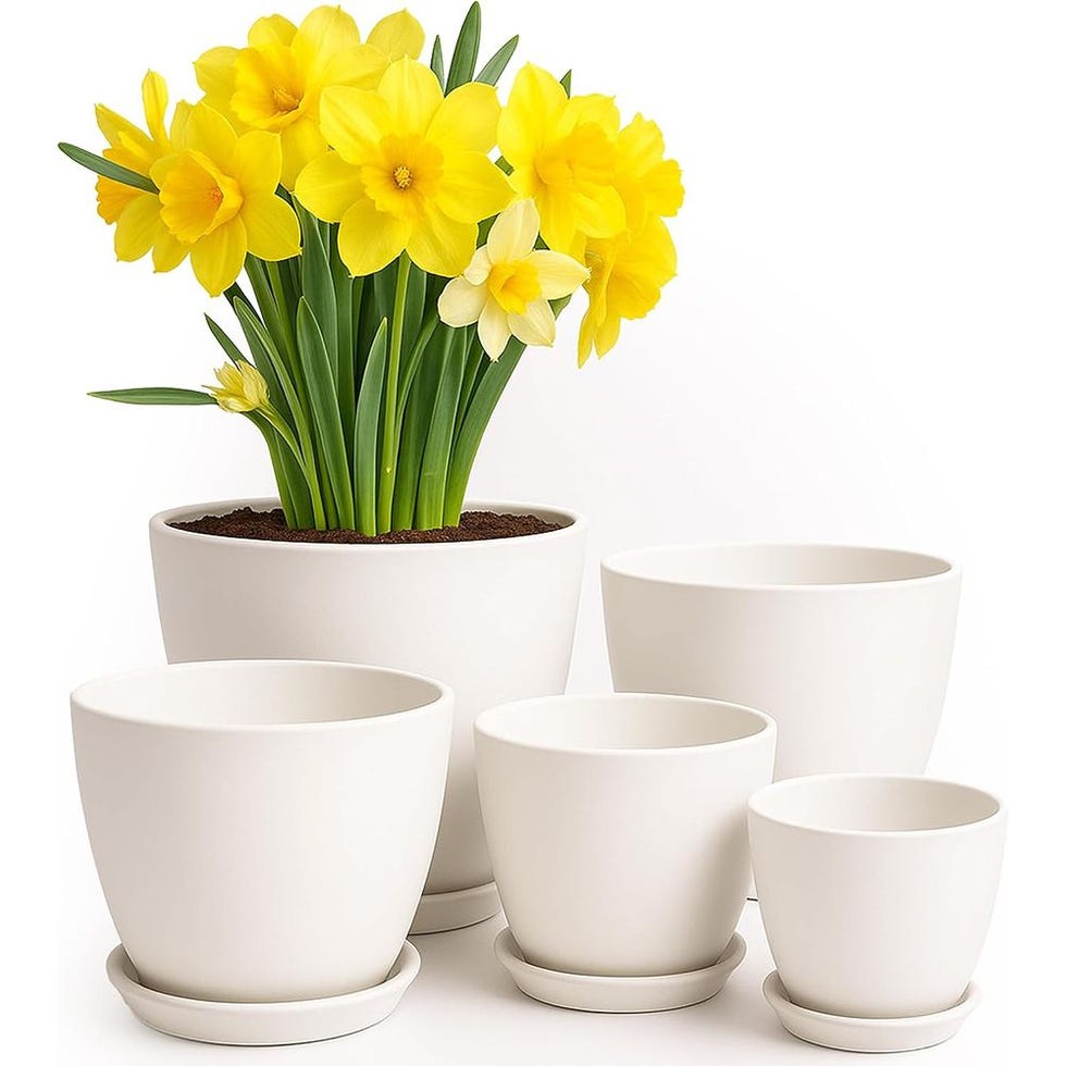Inner flower pots