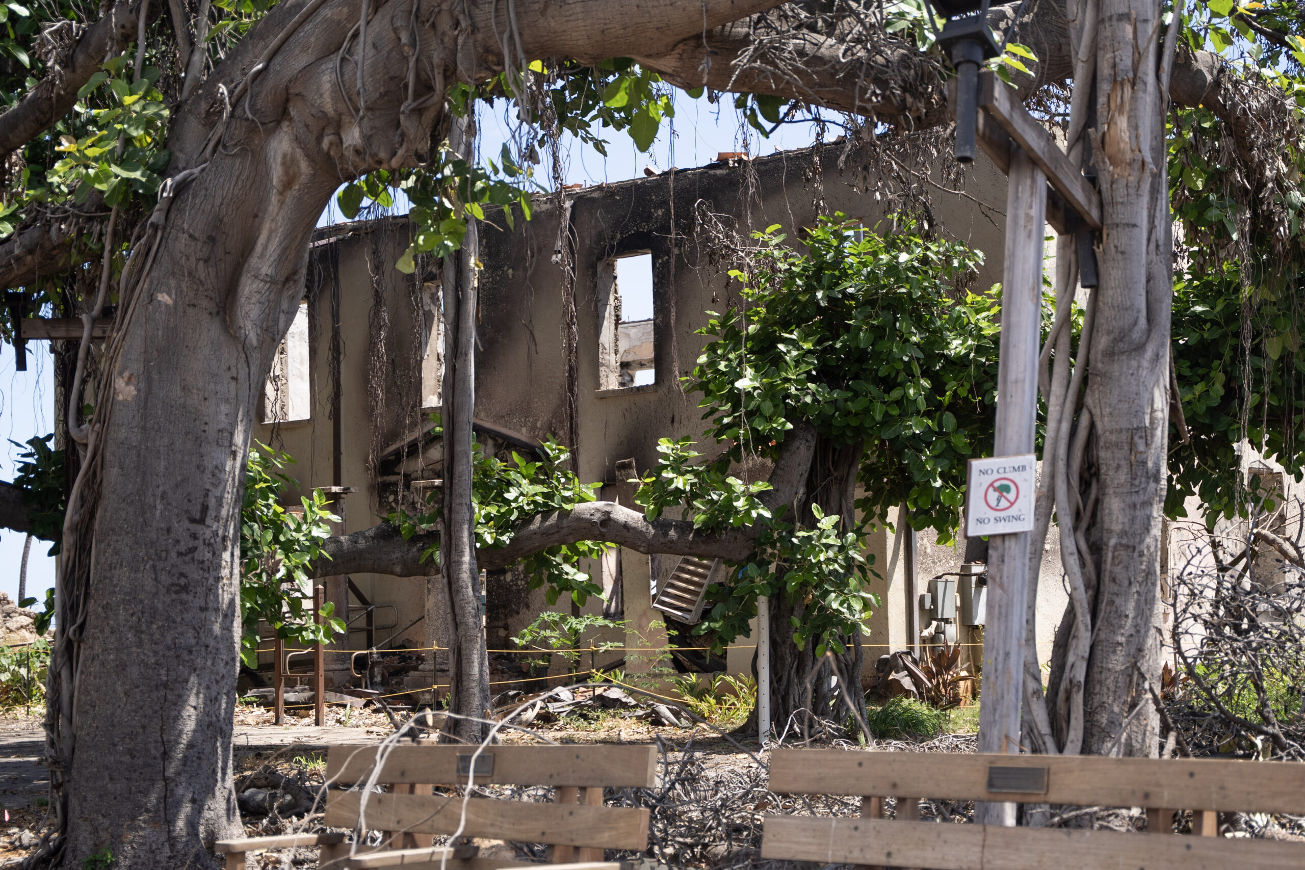 "We just have to start": Non -Profit faces 40 million US dollars to restore 8 historical sites in Lahaina: Maui Now