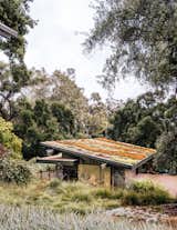 "The original house was more about looking at nature from a distance," says architect Alice Fung about the 1954 structure, which is located at the highest point on the site. "The new buildings are closely connected to the site and allow people to go outdoors at all levels."