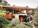 The pool house takes on many different attitudes to the landscape, with one end nestled in the treetops and the other jutting out over the water. "We imagine it as a boathouse, a treehouse and a cave." says Fung.