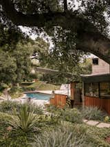 The approximately 1.5 hectare property is dotted with huge, ancient oak trees. "When people come here they are amazed" says Maria. "It's very peaceful - it feels like an oasis of peace and quiet in the middle of LA"