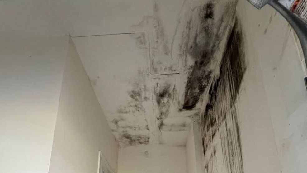 New restoration company in Lynchburg offers 24-hour emergency assistance for property damage. (Image credit: Paul Davis)