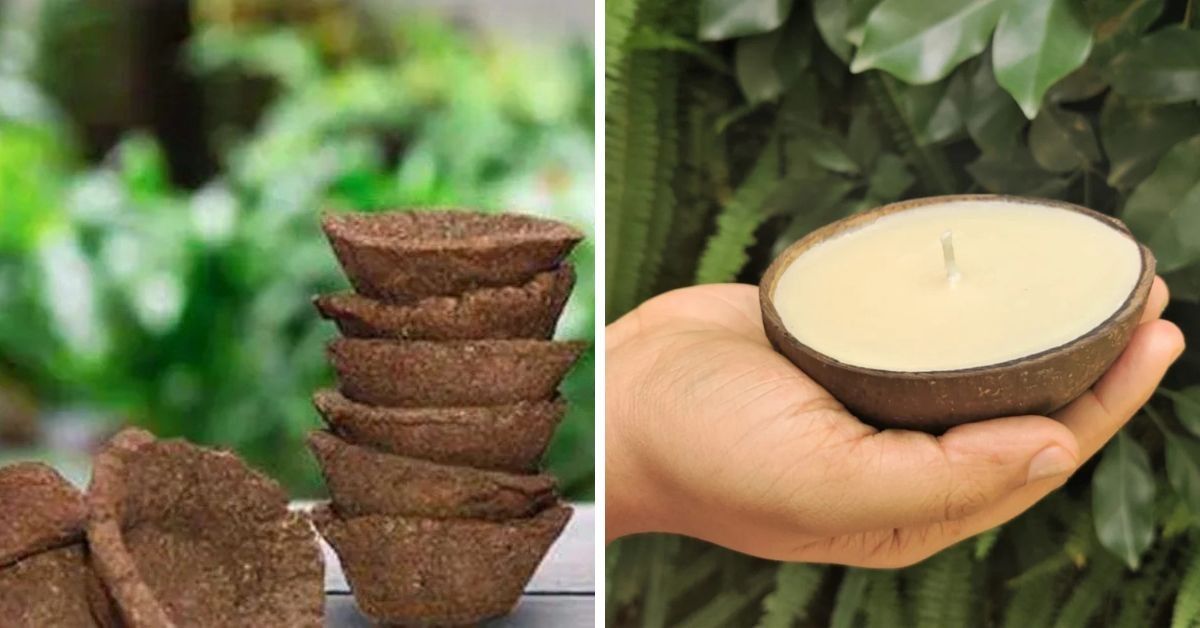 8 eco-friendly Diwali gifts for a greener and more thoughtful celebration