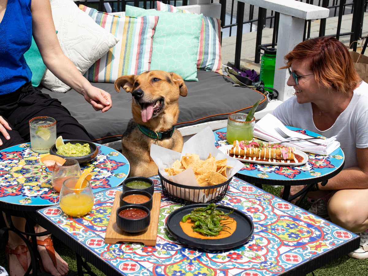 Dine al fresco with the whole family: Where to find Atlanta's dog- and kid-friendly patios