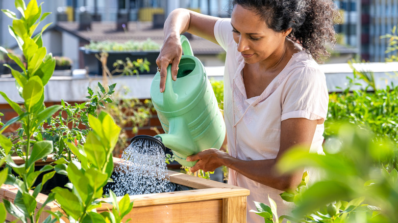 Woman watering her plants on a roof balcony