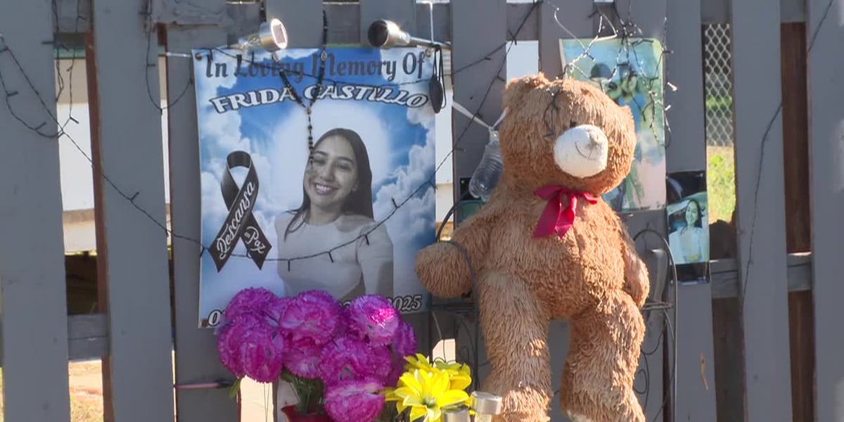 The restoration of Frida Castillo's house continues