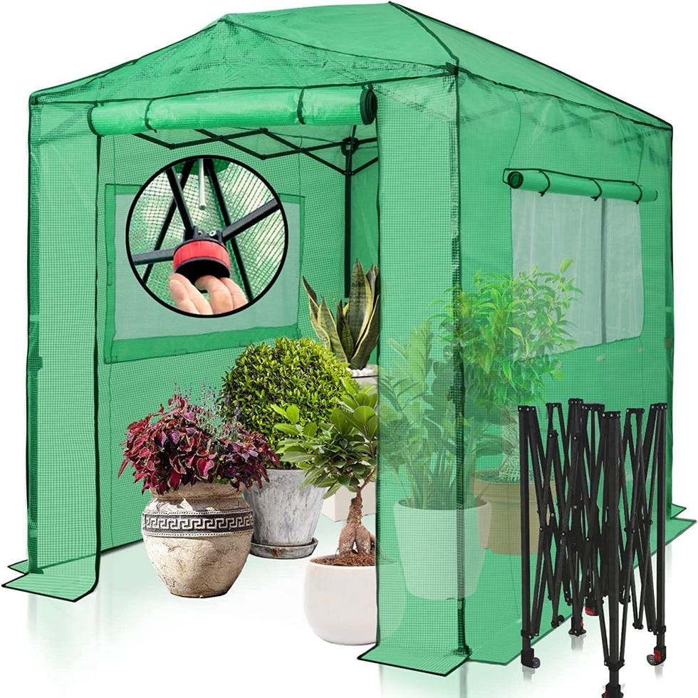 8'x6 'portable accessible greenhouse 8'x6 'portable accessible greenhouse