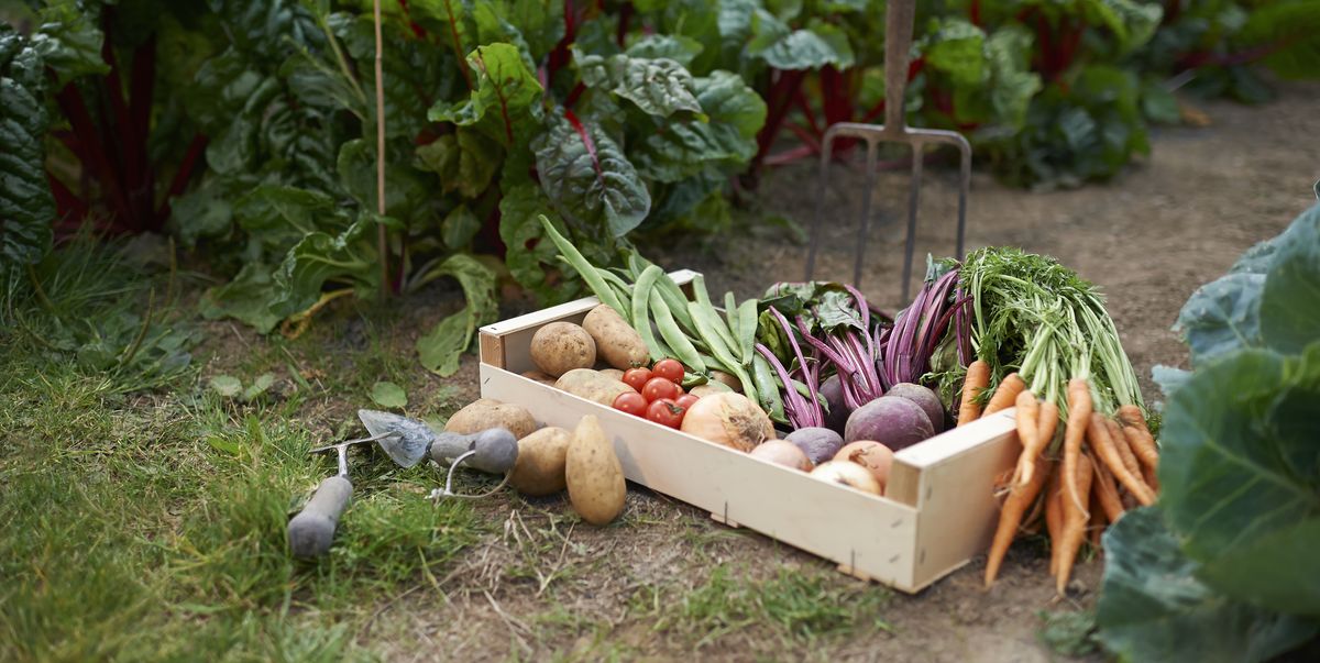 Up to 70% discount on gardening buildings