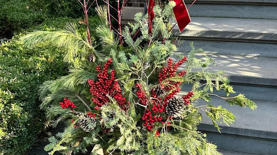 18 winter planter ideas that will bring life to your outdoor space all year round
