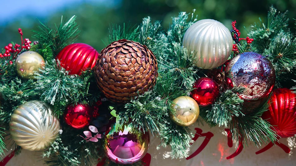 18 winter planter ideas that will bring life to your outdoor space all year round