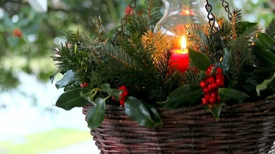 18 winter planter ideas that will bring life to your outdoor space all year round