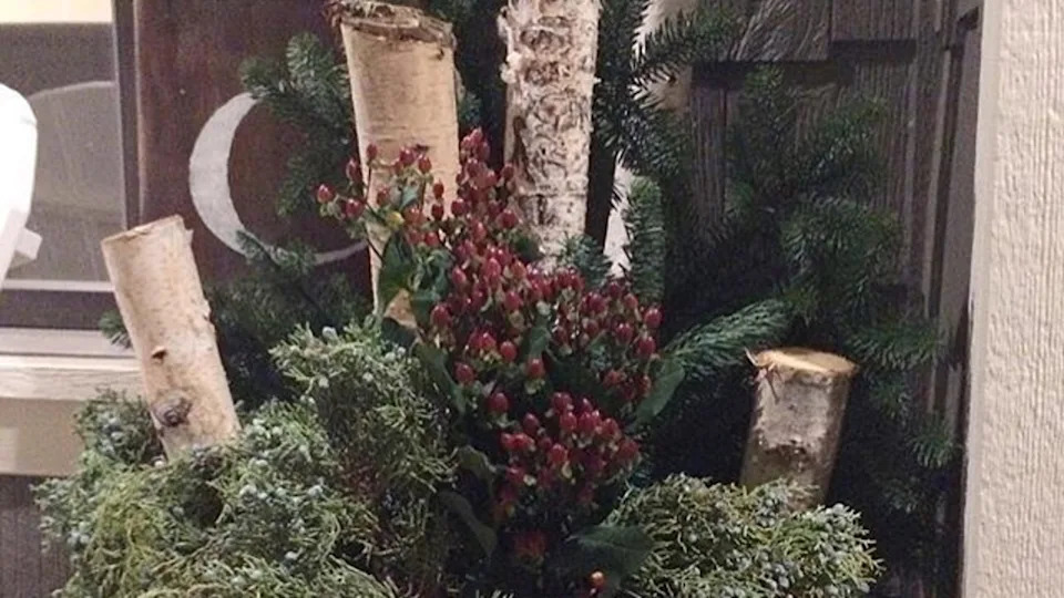 18 winter planter ideas that will bring life to your outdoor space all year round