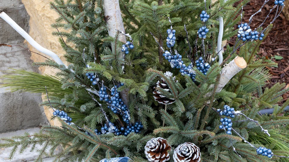 18 winter planter ideas that will bring life to your outdoor space all year round