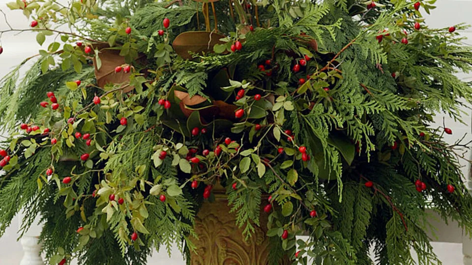 18 winter planter ideas that will bring life to your outdoor space all year round