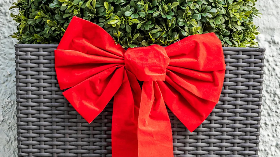 18 winter planter ideas that will bring life to your outdoor space all year round