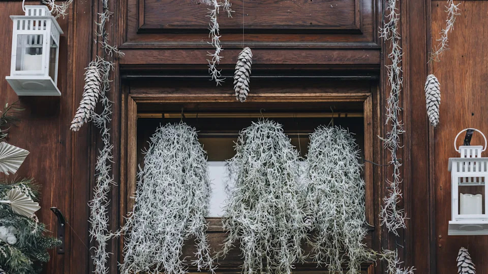 18 winter planter ideas that will bring life to your outdoor space all year round