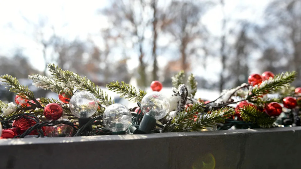 18 winter planter ideas that will bring life to your outdoor space all year round