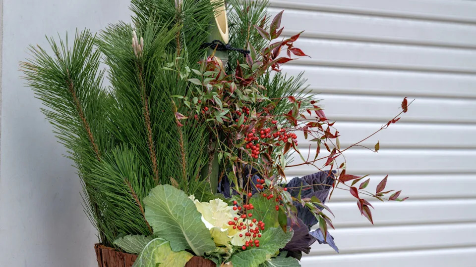 18 winter planter ideas that will bring life to your outdoor space all year round