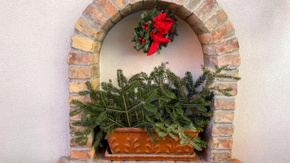 18 winter planter ideas that will bring life to your outdoor space all year round