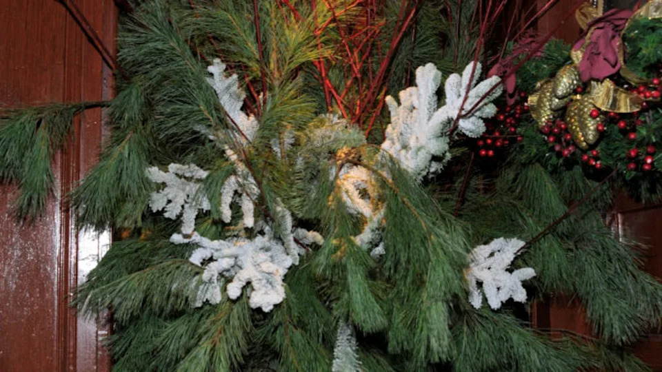 18 winter planter ideas that will bring life to your outdoor space all year round