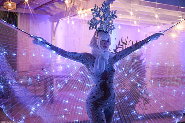 MPAC presents Theater of Light: Heavenly Winter