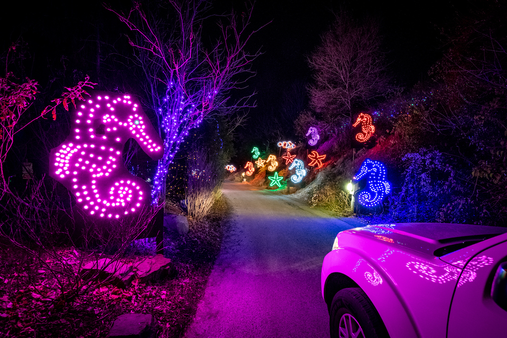 Holiday Lights Pittsburgh