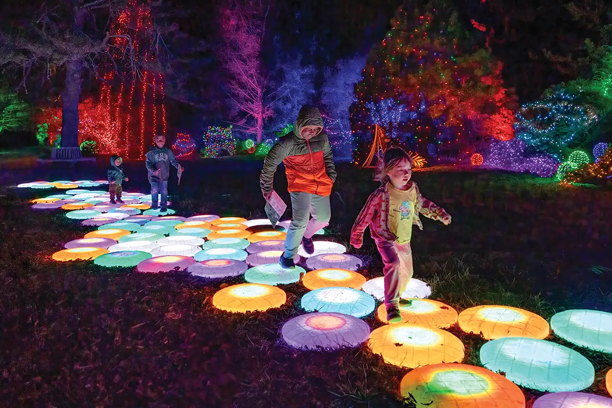Children play in an interactive light display at the Winter Walk of Lights in Meadowlark