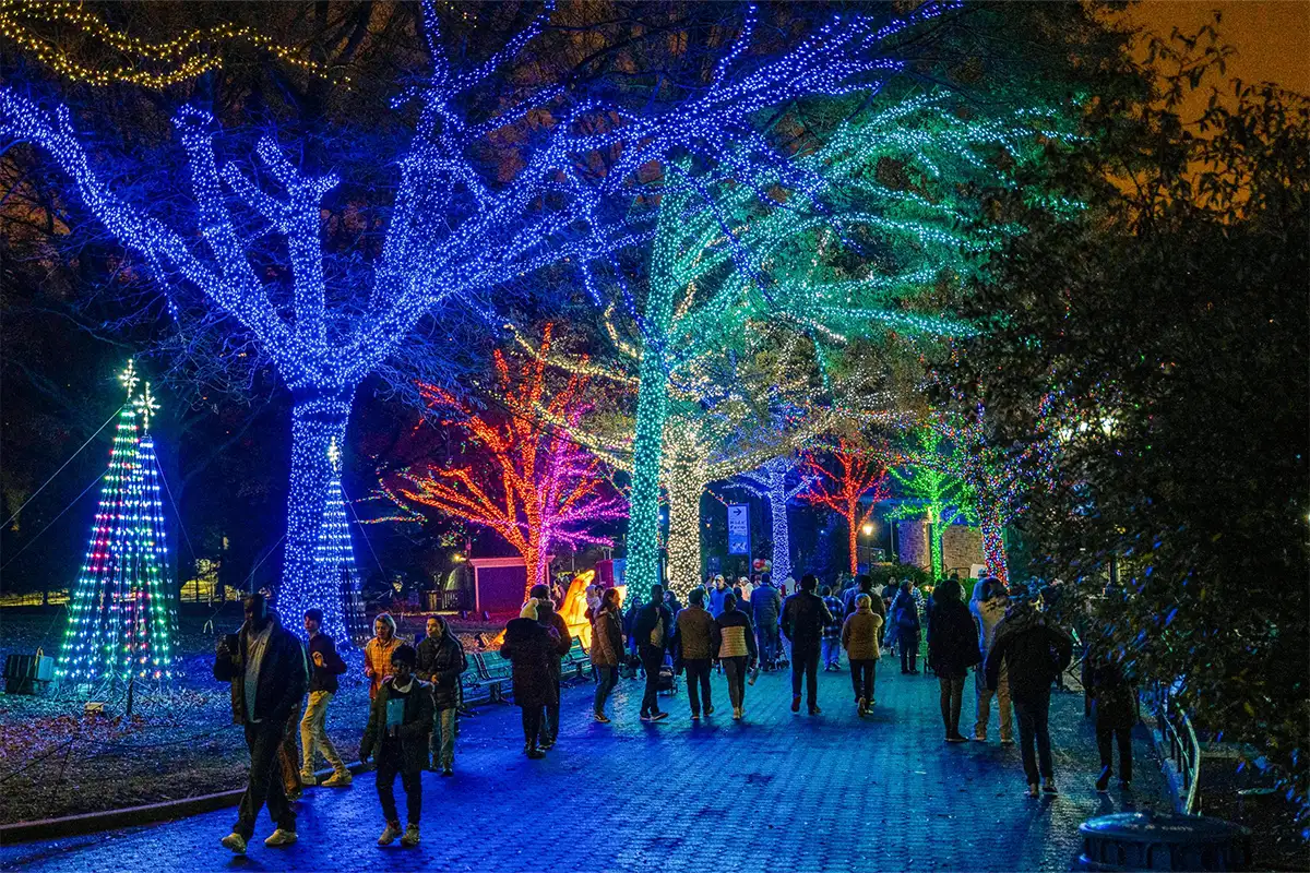 Check out these light displays in Northern Virginia and DC