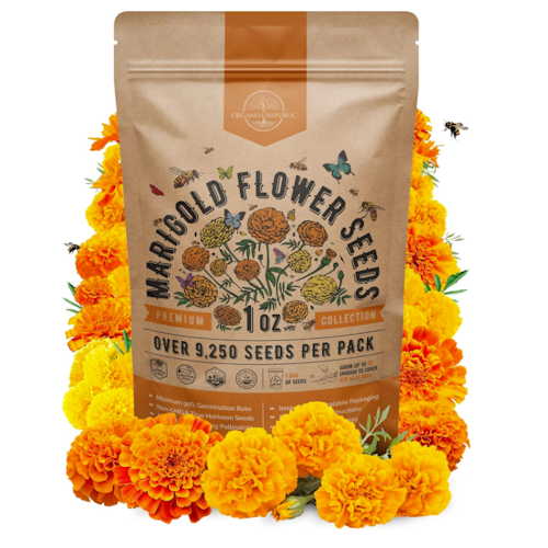 Amazon marigold seeds