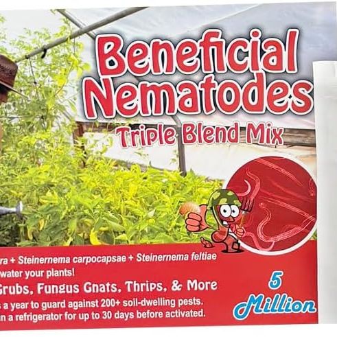Live Beneficial Nematodes Hb+sc+sf – kills over 200 different species of soil-dwelling and wood-boring insects. (5 million_nematodes)