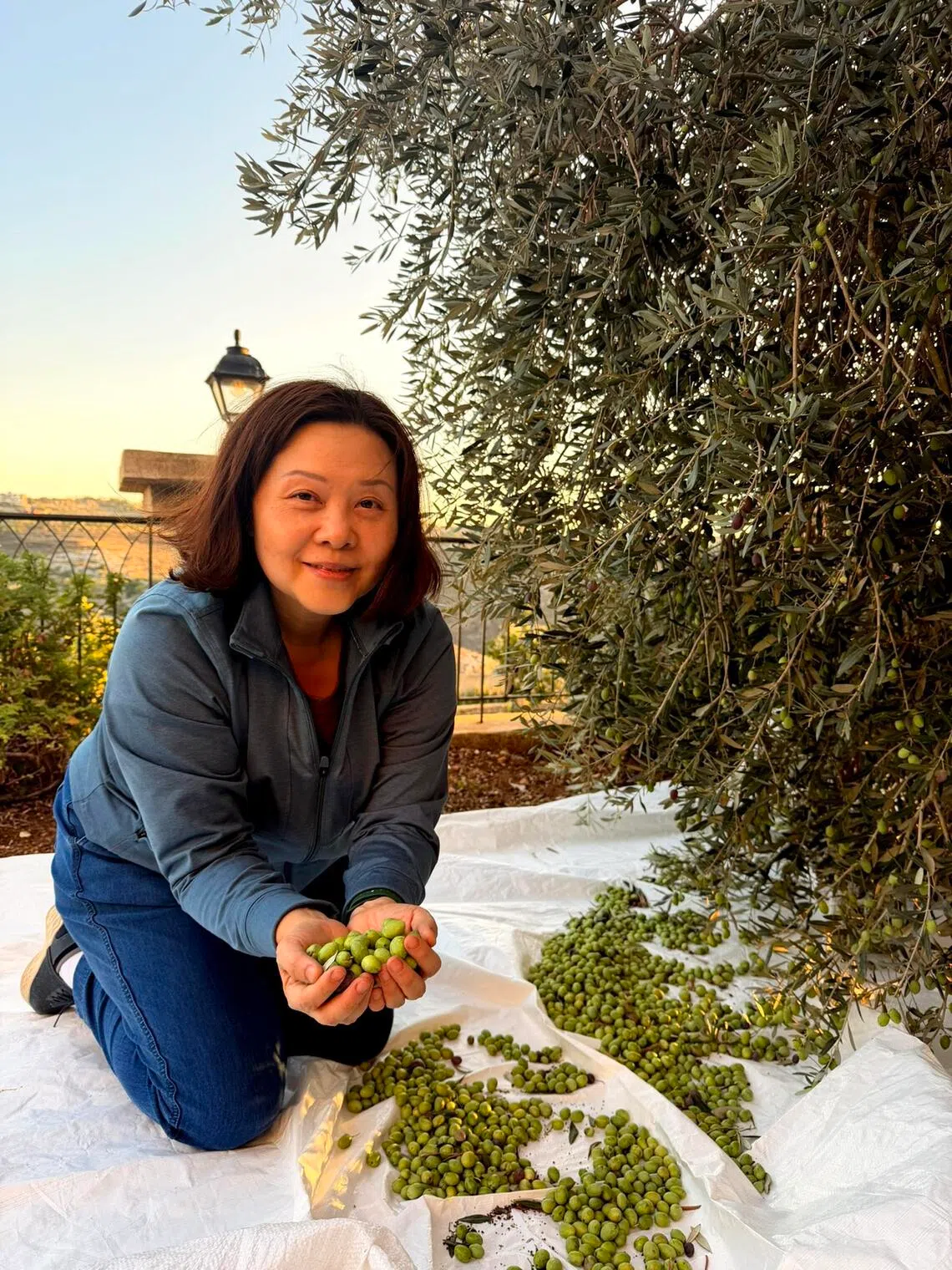 Meet the Singaporeans who run an eco-friendly olive farm in southern Lebanon