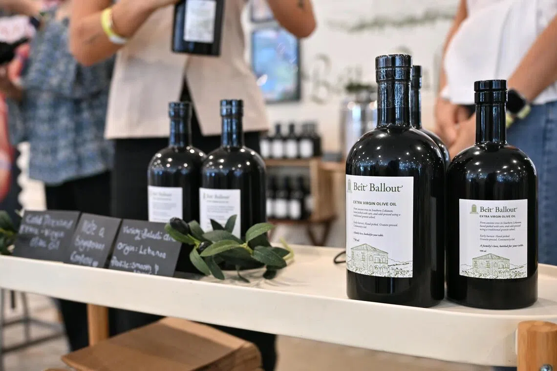 Meet the Singaporeans who run an eco-friendly olive farm in southern Lebanon