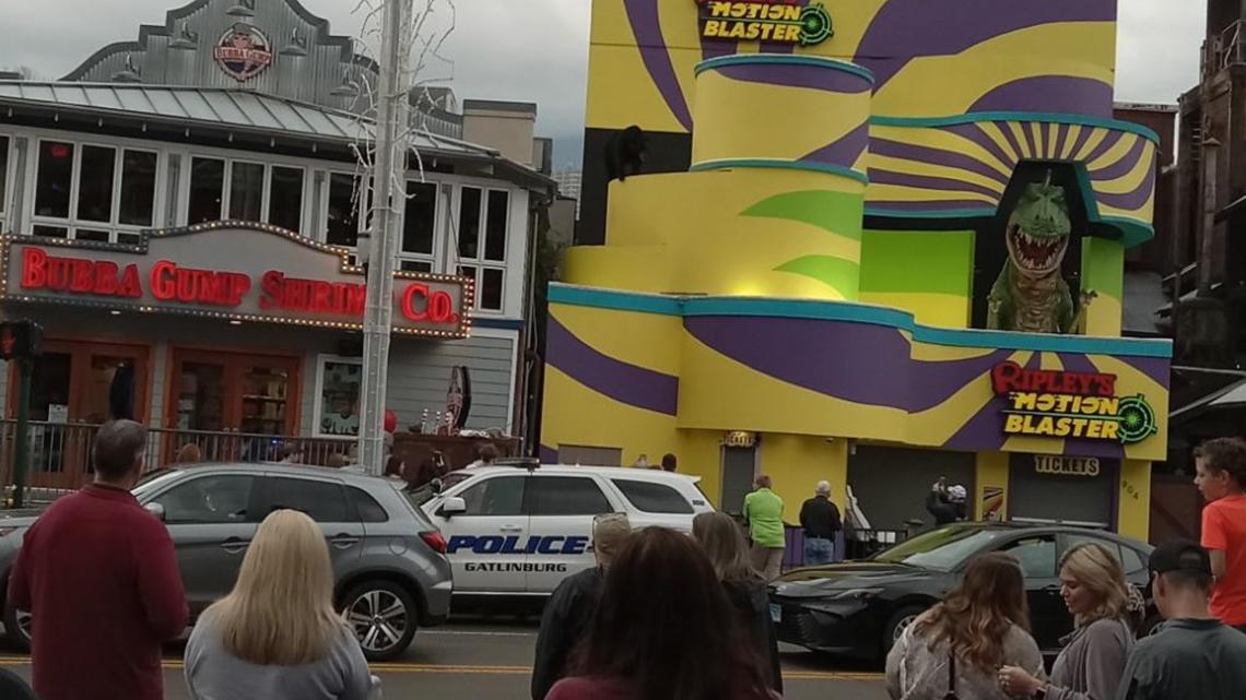 Black bear draws a crowd after getting stuck on a roof in downtown Gatlinburg