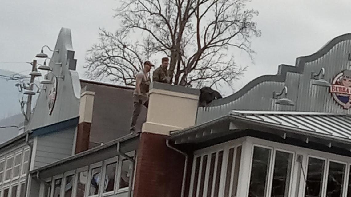 Black bear draws a crowd after getting stuck on a roof in downtown Gatlinburg