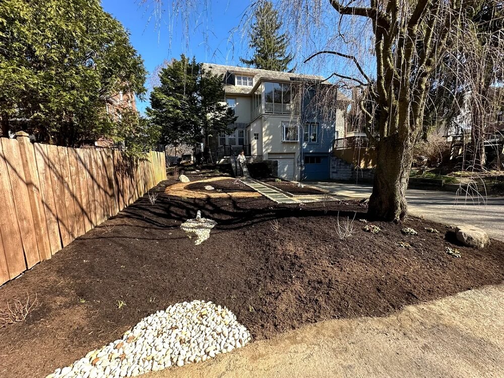 A Reddit user shared stunning before-and-after photos of a native plant landscaping project that transformed a boring lawn into an ecological oasis.