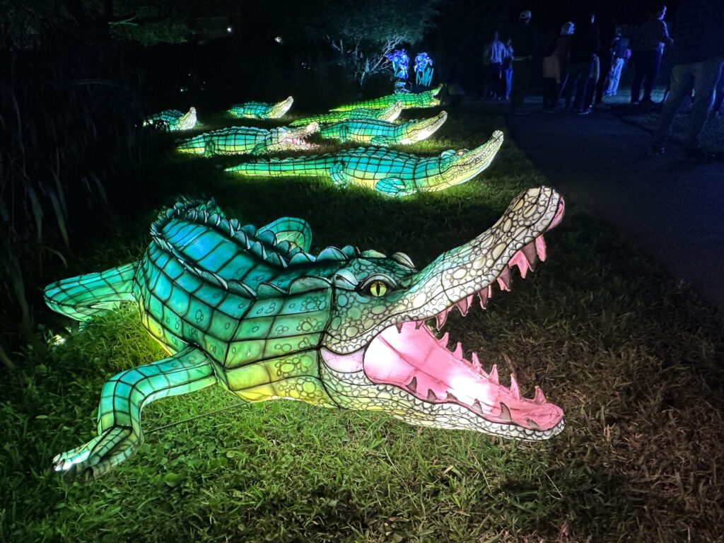 Lanterns brighten the holidays at Mounts Garden