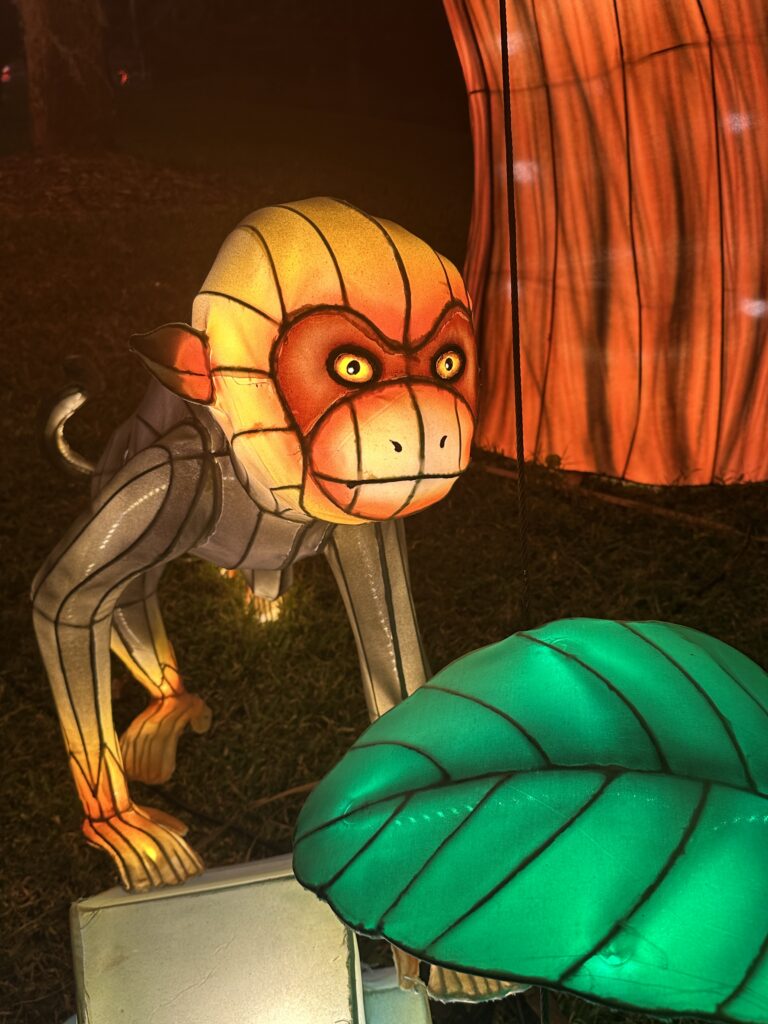 Lanterns brighten the holidays at Mounts Garden