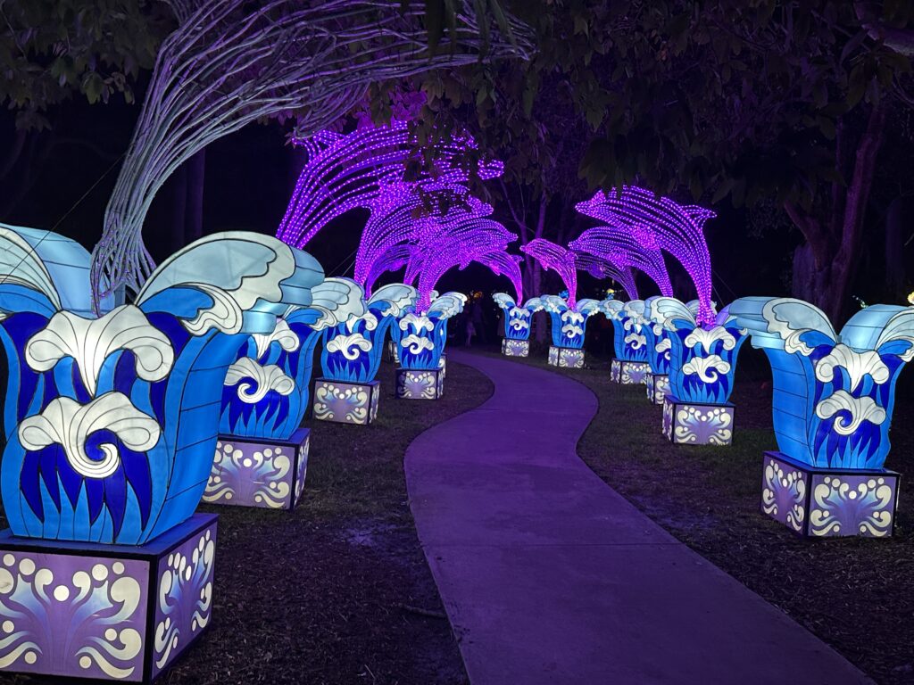 Lanterns brighten the holidays at Mounts Garden