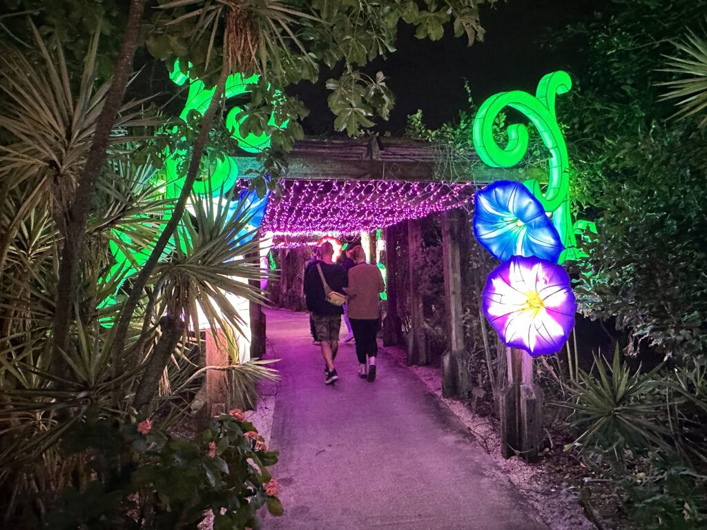 Lanterns brighten the holidays at Mounts Garden