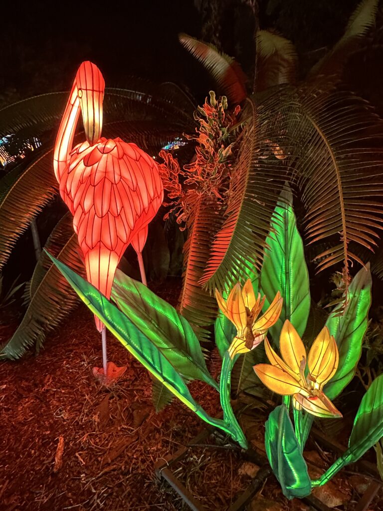 Lanterns brighten the holidays at Mounts Garden