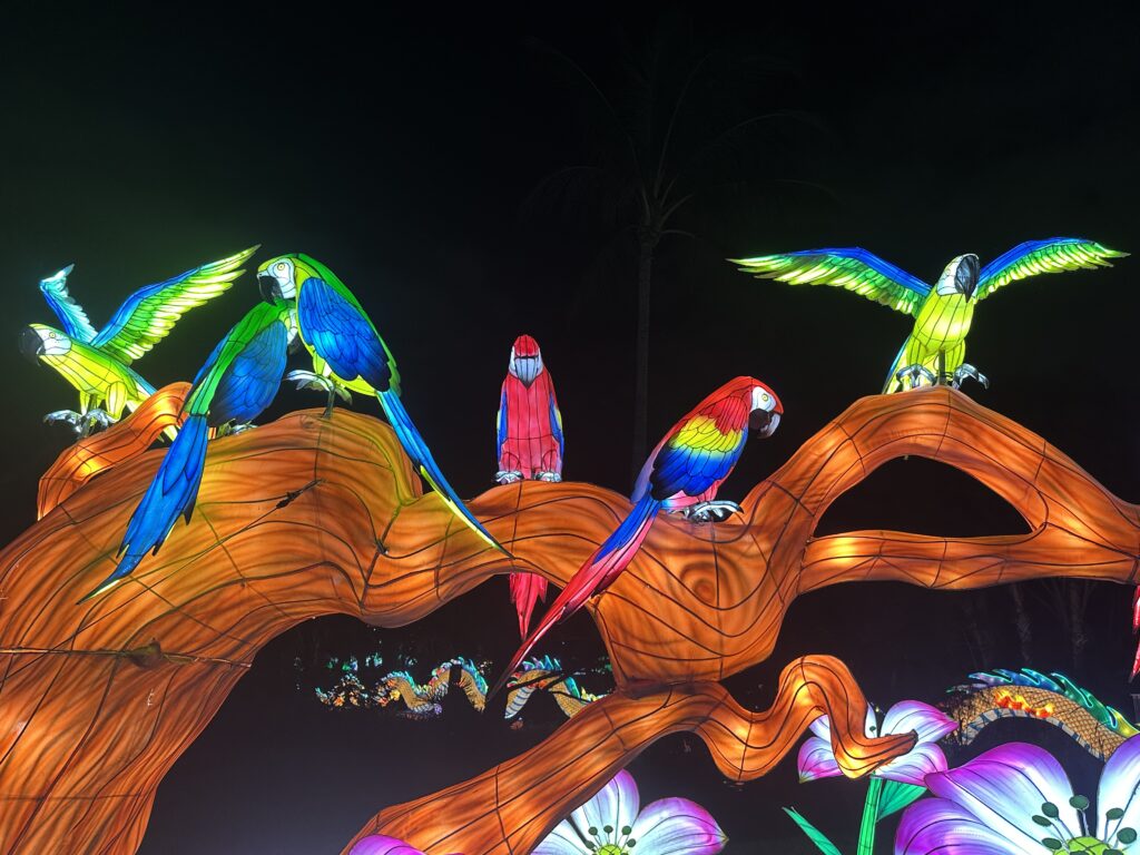 Lanterns brighten the holidays at Mounts Garden