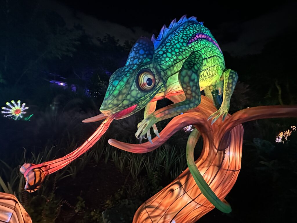 Lanterns brighten the holidays at Mounts Garden