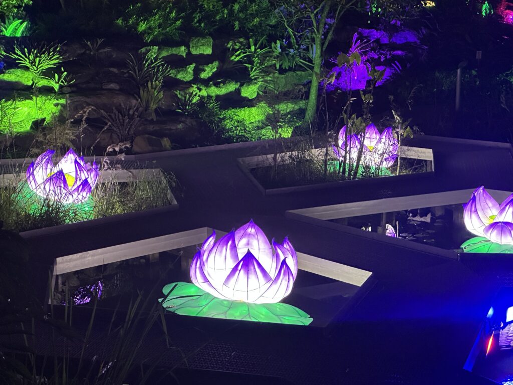 Lanterns brighten the holidays at Mounts Garden